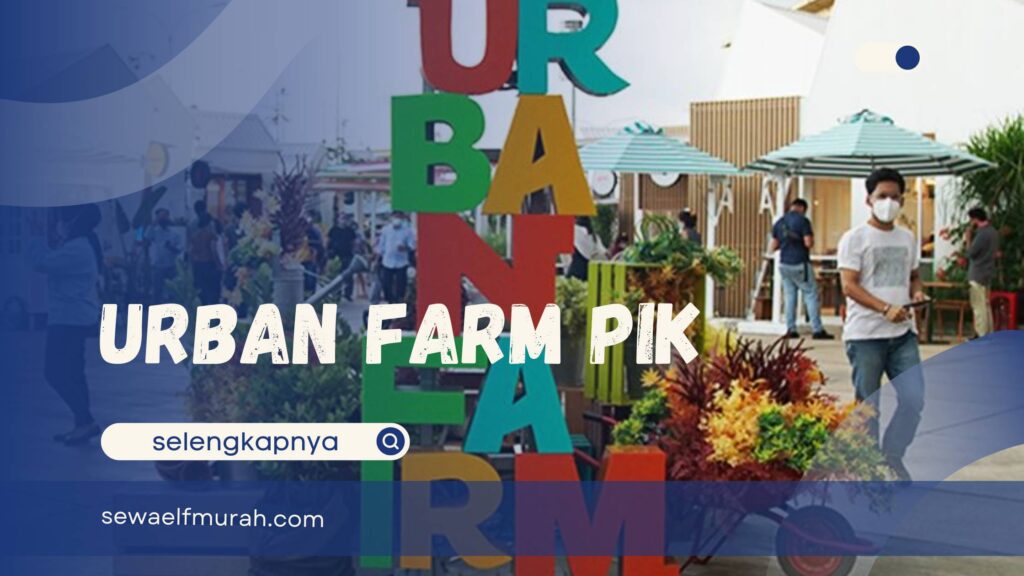 urban farm pik